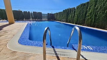 Fantastisk lägenhet i Villamartin – Inflyttningsklar! - Lotus Properties