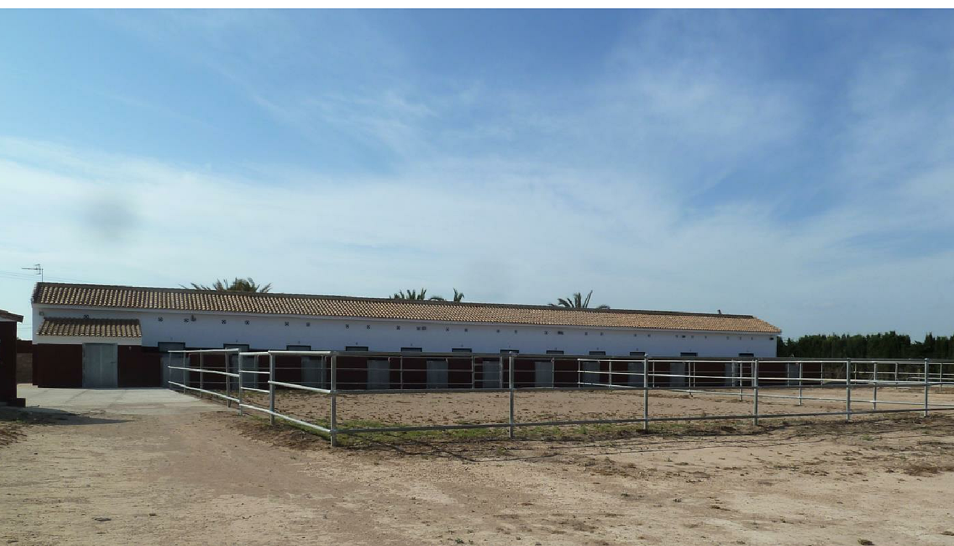 Perceel van 10.006,00 m² met paardenstallen in San Miguel de Salinas - Lotus Properties