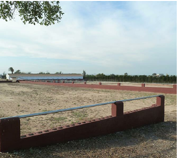 Plot of 10.006,00 m² with horse stables in San Miguel de Salinas - Lotus Properties