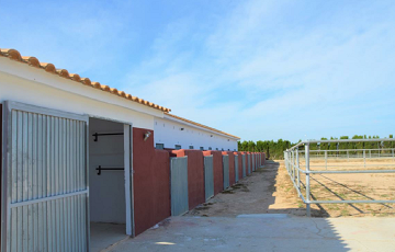 Perceel van 10.006,00 m² met paardenstallen in San Miguel de Salinas - Lotus Properties