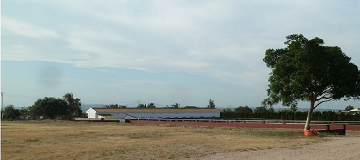 Perceel van 10.006,00 m² met paardenstallen in San Miguel de Salinas - Lotus Properties