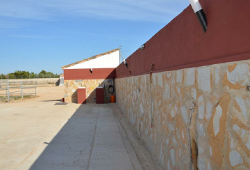 Perceel van 10.006,00 m² met paardenstallen in San Miguel de Salinas - Lotus Properties