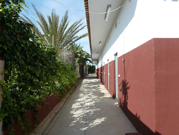 Perceel van 10.006,00 m² met paardenstallen in San Miguel de Salinas - Lotus Properties