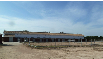 Perceel van 10.006,00 m² met paardenstallen in San Miguel de Salinas - Lotus Properties